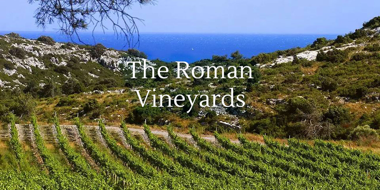 Roman vineyards